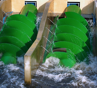 Anasayfa Hakkımızda